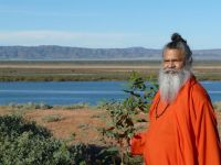 peace-tree-port-augusta-1